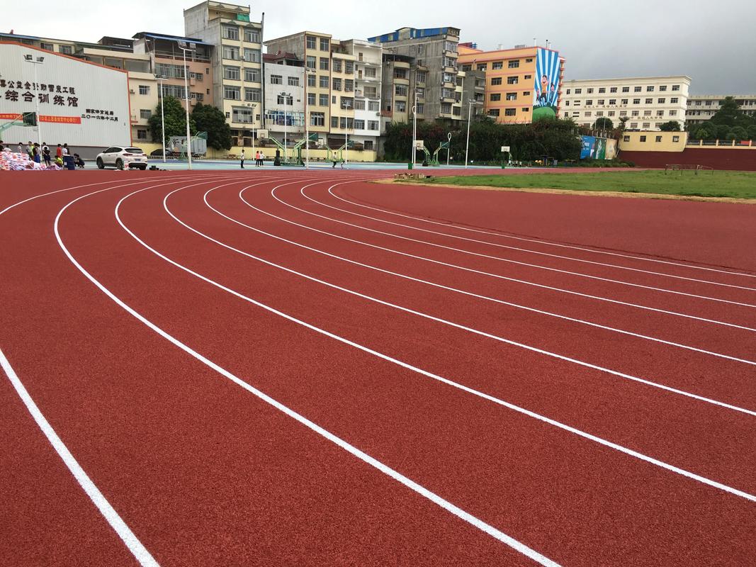 哈尔滨市硅PU塑胶跑道材料 - 排名